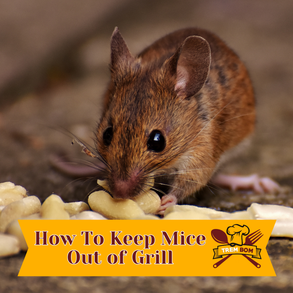 how to keep mice out of grill