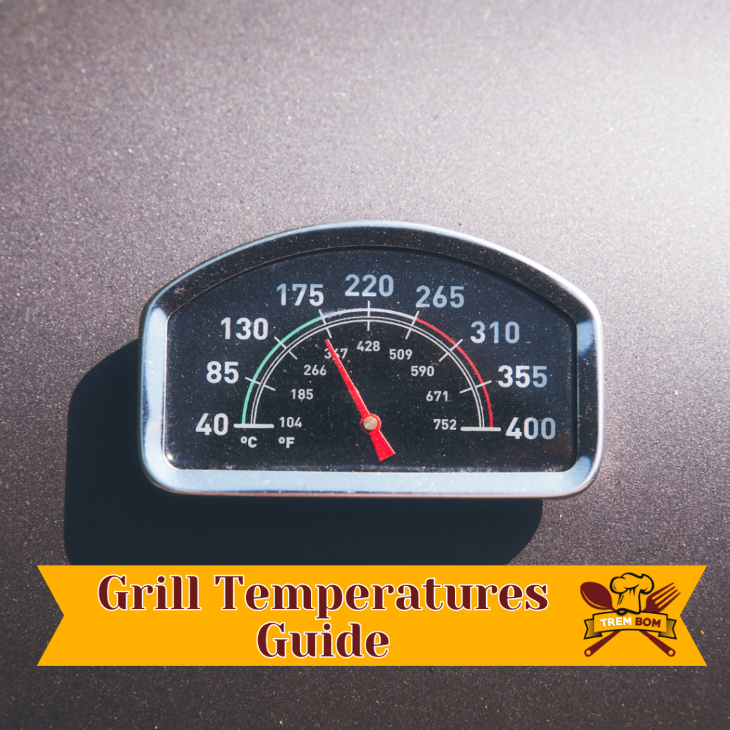 Grill Temperatures Guide