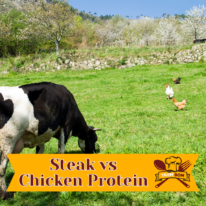 Steak vs chicken protein