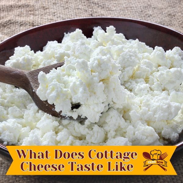 Cottage Cheese: Protein Content, Gut Benefits, Taste