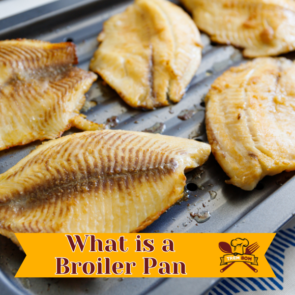 what is a broiler pan