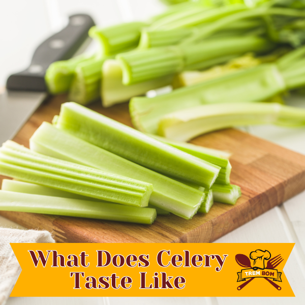 what does celery taste like