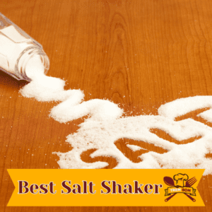 Best Salt Shaker