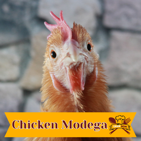 Chicken Modega