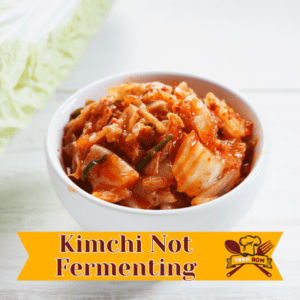 Kimchi Not Fermenting