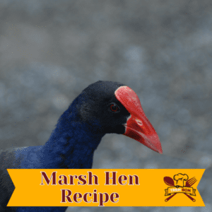 Marsh Hen Recipe