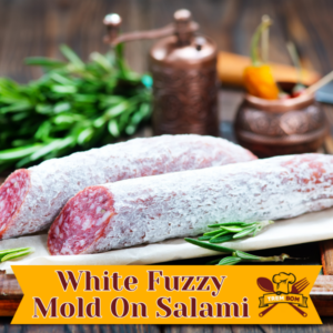White Fuzzy Mold On Salami