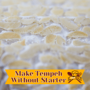 How To Make Tempeh Without Starter